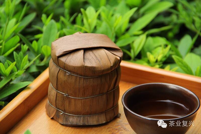 宛皖专栏：茶里人生——杯具里的苦涩与甘甜